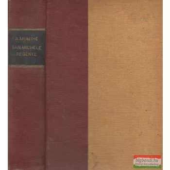 San Michele regénye