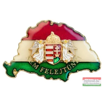   Kitűző - Nagy Magyarország, PFZ angyalos címerrel - Nem felejtünk!