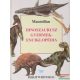 Dinoszaurusz gyermekenciklopédia