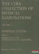  Frank Henry Netter - The Ciba Collection of Medical Illustrations, Volume 1 - Nervous System - Part I-II.