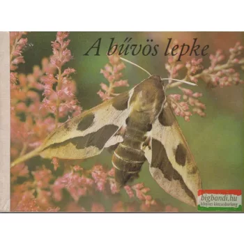 Winfried Völlger - A bűvös lepke