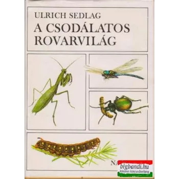 A csodálatos rovarvilág