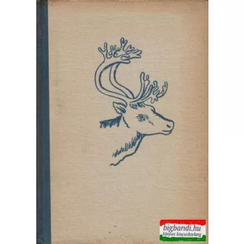 Kereszt és varázsdob