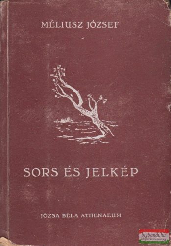 Méliusz József - Sors és jelkép 