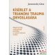 Jeszenszky Géza - Kísérlet a trianoni trauma orvoslására - Magyarország szomszédsági politikája a rendszerváltozás éveiben 