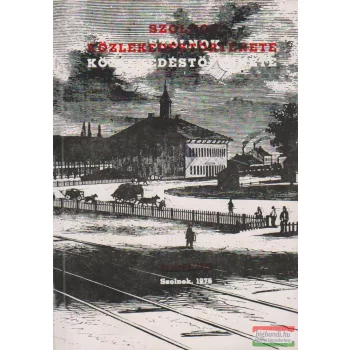 Kaposvári Gyula - Szolnok közlekedéstörténete
