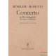 Concerto in Re maggiore per flauto ed orchestra