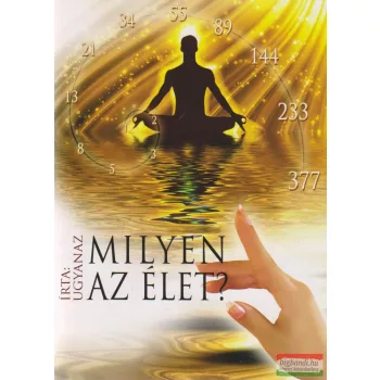 Ugyanaz (Gaál Tamás) - Milyen az élet?