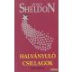 Sidney Sheldon - Halványuló csillagok