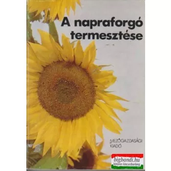 A napraforgó termesztése