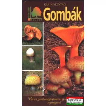 Karin Montag - Gombák 