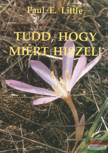 Tudd, hogy miért hiszel!