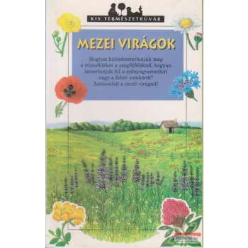 Mezei virágok