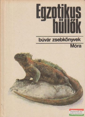 Egzotikus hüllők 