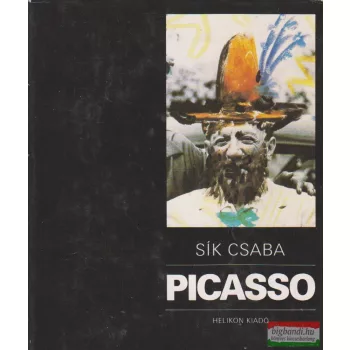 Sík Csaba - Picasso