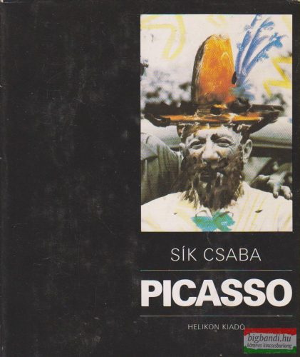 Sík Csaba - Picasso