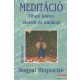 Meditáció - tibeti könyv életről és halálról