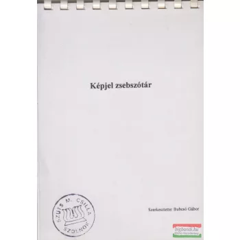 Bubcsó Gábor szerk. - Képjel zsebszótár