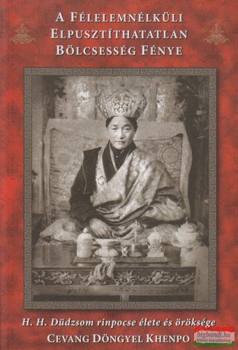 Carl Stuendel Cevang Döngyel Khenpo - A félelemnélküli elpusztíthatatlan bölcsesség fénye 