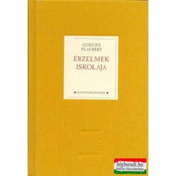 Gustave Flaubert - Érzelmek iskolája