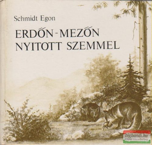 Erdőn-mezőn nyitott szemmel