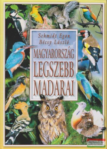 Schmidt Egon-Bécsy László - Magyarország legszebb madarai