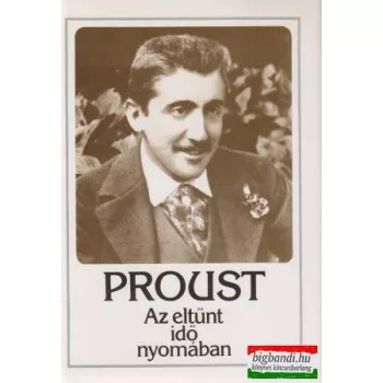 Az eltűnt idő nyomában I.: Swann