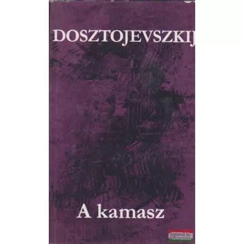 Fjodor Mihajlovics Dosztojevszkij - A kamasz