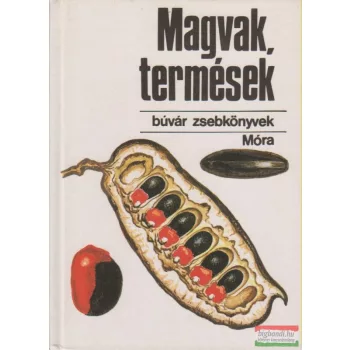Magvak, termések 