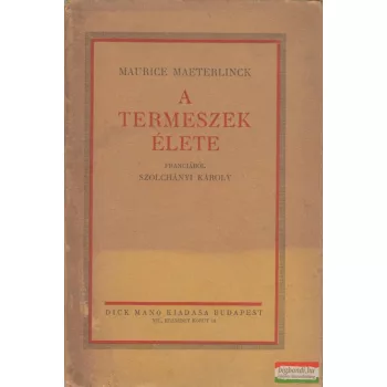 A termeszek élete