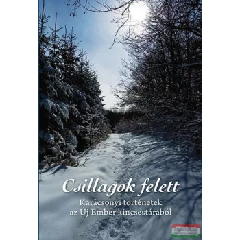   Pallós Tamás-Szalontai Anikó-Zsille Gábor szerk. - Csillagok felett