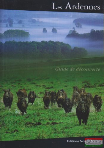 Bernard Chopplet, Jean Marie Lecomte, Michel Degré, Guy Pleutin - Les Ardennes, guide découverte
