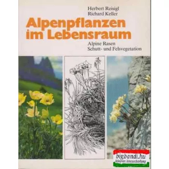 Alpenpflanzen im Lebensraum