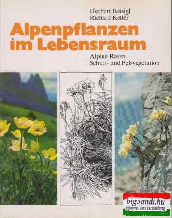 Alpenpflanzen im Lebensraum