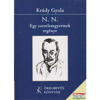 N.N. Egy szerelemgyermek regénye