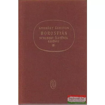 Borostyán -Schubert életének regénye