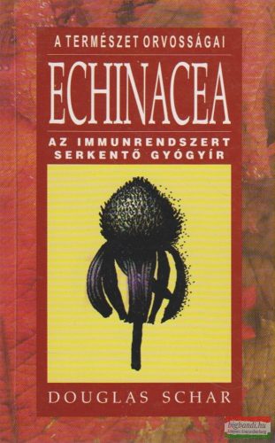 Echinacea - Az immunrendszert serkentő gyógyír