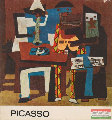 Körner Éva - Picasso