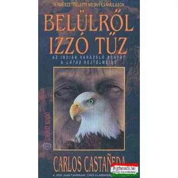 Carlos Castaneda - Belülről izzó tűz