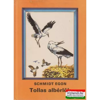 Tollas albérlők