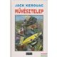 Jack Kerouac - Művésztelep