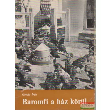 Baromfi a ház körül