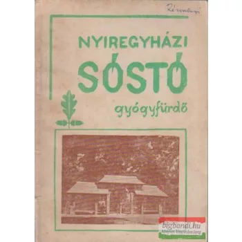 Duli Antal - Nyíregyházi Sóstó Gyógyfürdő