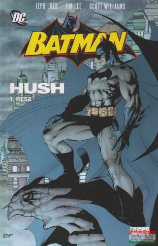 Batman - Hush 1.