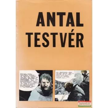 Antal testvér