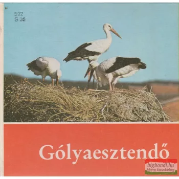 Gólyaesztendő