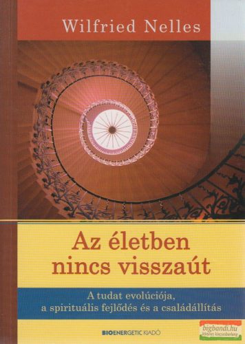 Wilfried Nelles - Az életben nincs visszaút