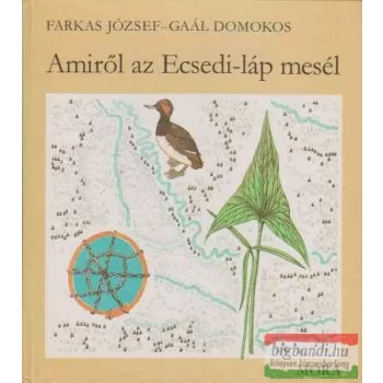 Amiről az Ecsedi-láp mesél
