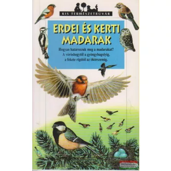 Erdei és kerti madarak