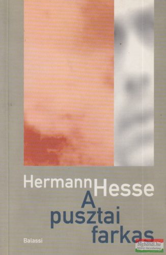 Hermann Hesse - A pusztai farkas 